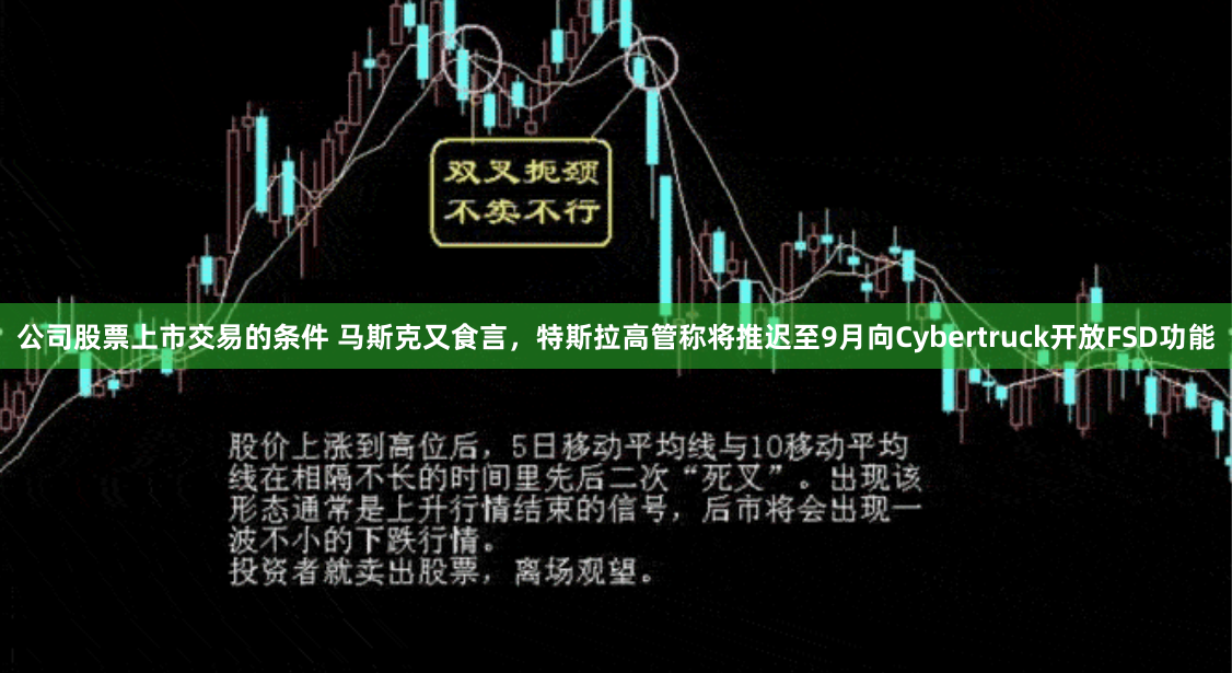公司股票上市交易的条件 马斯克又食言，特斯拉高管称将推迟至9月向Cybertruck开放FSD功能