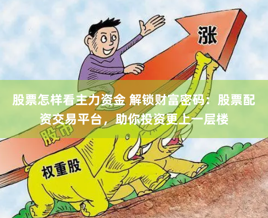 股票怎样看主力资金 解锁财富密码：股票配资交易平台，助你投资更上一层楼