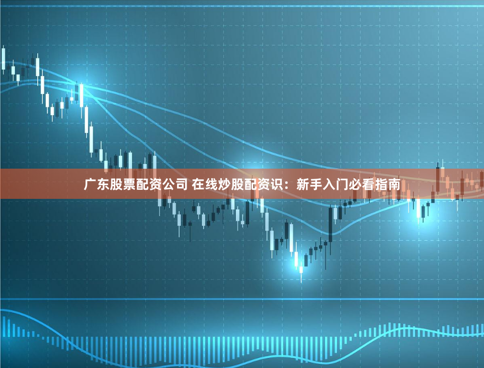 广东股票配资公司 在线炒股配资识：新手入门必看指南