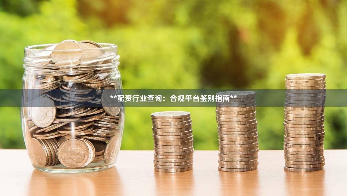 **配资行业查询：合规平台鉴别指南**